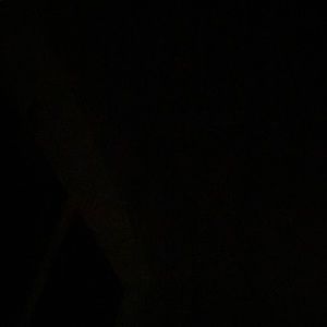 Meet your Posher, Elysia